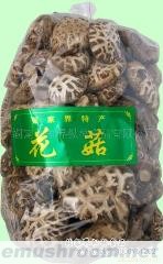 供应批发张家界特产 花菇