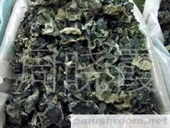 供应黑木耳(图)