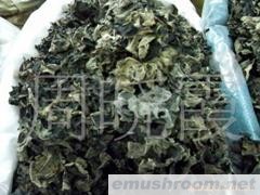 供应黑木耳(图)