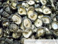 供应鲜香菇(图)