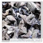 原产地直供批发供应特级黑木耳 秋耳