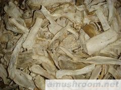 供应  ManBetX体育 牛肝菌 球盖干片 姬松茸速冻菌