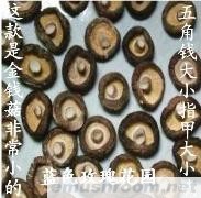 供应超干 特级小香菇 金钱蘑