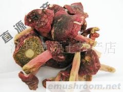 供应红菇