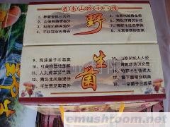 批发供应 云南特产 红葱 牛肝菌 黄牛肝