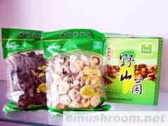 供应干蘑菇、主要有口蘑等5种(图)