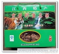 原产地批发供应江西宜黄野生真菌花菇