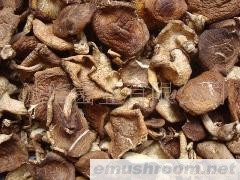 供应 野生香菇 食品礼盒 食品土特产