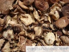 供应 野生香菇 野生蘑菇 Manbetx体育手机版推荐A9版本 牛肝菌 野生菌