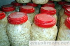 供应福建古田Manbetx体育手机版V17版本发布.官网安卓网.香港