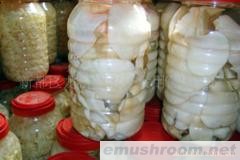 供应清水金针菇