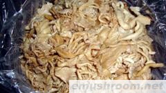 供应盐渍玉皇菇