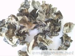 供应青川黑木耳