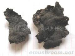 供应石耳,岩菇,石木耳