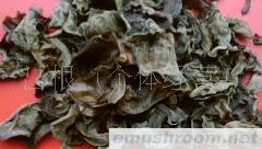 批发供应黑木耳