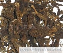 供应干Manbetx体育手机版推荐A9版本