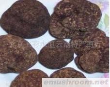 供应云南特产/特色野生菌/【块菌】松露