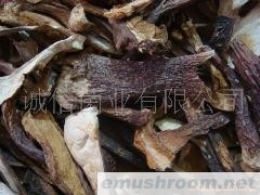 供应  野生菌 黄虎掌，Manbetx体育手机版V17版本发布.官网安卓网.香港，牛肝菌 红葱菌