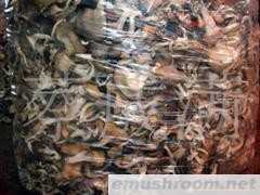 供应鸡褪菇