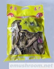 供应牛肝菌