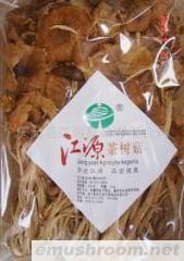 供应江源茶树菇