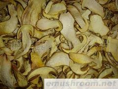 批发 野生食品 野生牛肝菌 云南特产