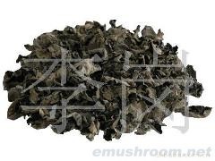 供应黑木耳(图)