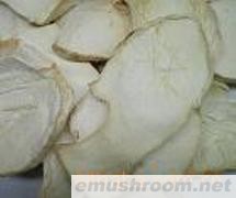 供应白灵菇
