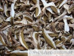 供应；牛肝菌 美味牛肝菌 红葱 黄牛肝干片