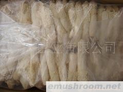 供应 野生竹笙 Manbetx体育手机版V17版本发布.官网安卓网.香港 竹孙 野生特产