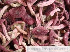 批发供应 野生菌 ManBetX体育 牛肝菌 蘑菇 野生红菇