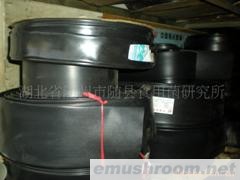 供应黑木耳喷带