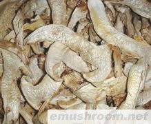 供应  松茸干片 蘑菇 土特产 批发