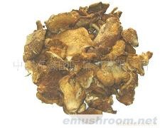 供应干元蘑