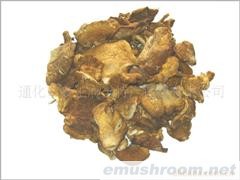 批发供应长白山元蘑110元公斤10公斤起
