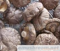 供应香菇(mushroom)\香菇帽粒\香菇柄粒