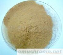 供应香菇粉,银耳,茶树菇,Manbetx体育手机版推荐A9版本,竹荪,黑木耳