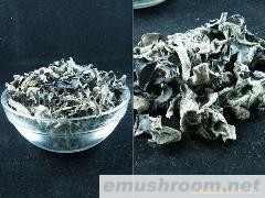批发供应长白山木椴黑木耳秋耳130/KG