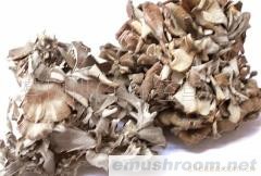 批发供应灰树花，野生菌，ManBetX体育，土特产，酒店配送