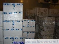 供应保鲜秀珍菇