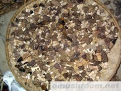 供应鲜Manbetx体育手机版V17版本发布.官网安卓网.香港