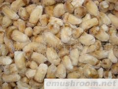 供应野生松茸 松露 特产 山菌 火锅 40种ManBetX体育