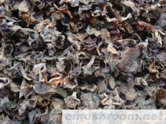 供应 云南野生木耳 土特产品 野生菌 干品 速冻