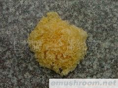 供应古田银耳(图)