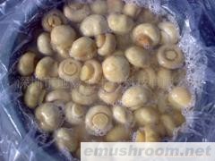 供应醋渍双孢蘑菇（整粒）