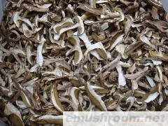 批发；美味牛肝 野生菌 Manbetx体育手机版推荐A9版本 黑牛肝 黄牛肝