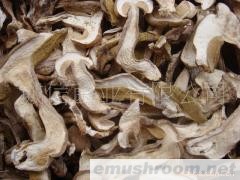 批发供应批发A/B/C/D级牛肝菌干片 土特产