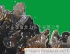 供应木耳野生黑木耳