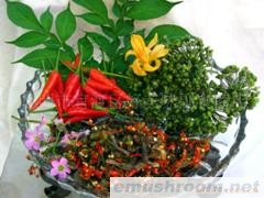 供应干巴菌腌韭菜花