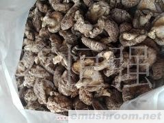 批发供应椴木花菇